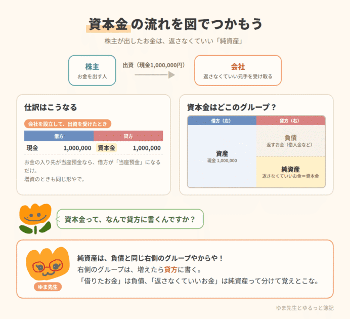 株主の出資と資本金の仕訳、純資産の位置
